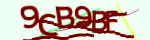 Mã bảo mật