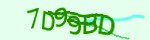 Mã bảo mật